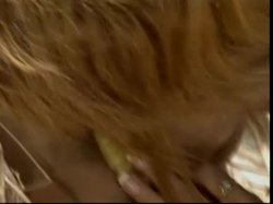 'Ginger's Island 2' screenshot nº 140