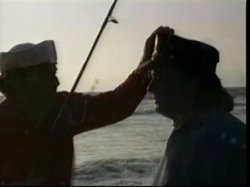 'Ginger's Island 2' screenshot nº 2