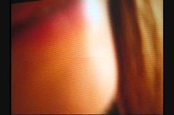 'White Panty Chronicles 11' screenshot nº 12