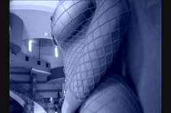 'Anal Asspirations 8' screenshot nº 2
