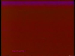 'Peepshow Loops 104: 70's & 80's (color)' screenshot nº 57