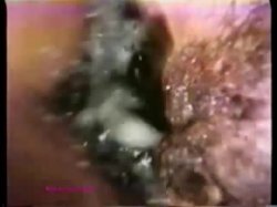 'Peepshow Loops 104: 70's & 80's (color)' screenshot nº 83