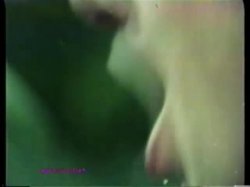 'Peepshow Loops 104: 70's & 80's (color)' screenshot nº 99