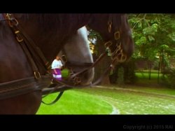 'Tatiana' screenshot nº 58