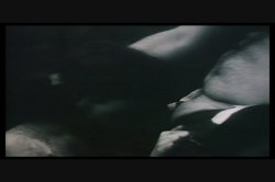 Captura de 'Blonde Velvet' nº 139