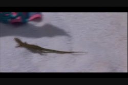 'Dorcel Airlines: Flight To Ibiza (French)' screenshot nº 76