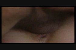 'Firebox' screenshot nº 45