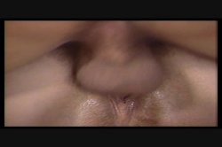 'Firebox' screenshot nº 7