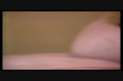'Firebox' screenshot nº 117