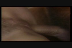 'Firebox' screenshot nº 30