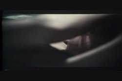 Captura de 'Danish Pastries' nº 4