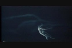 Captura de 'Danish Pastries' nº 103