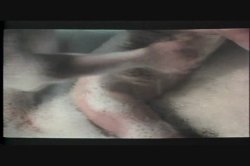 Captura de 'Danish Pastries' nº 113