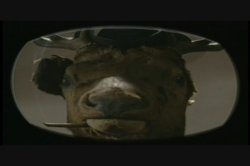 'Stardust 3' screenshot nº 62