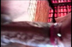 'Let's Get Bi' screenshot nº 28