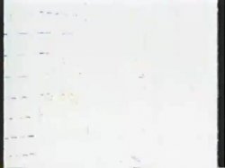 'Dirty Little Secrets II' screenshot nº 11