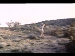 'Kate and the Indians' screenshot nº 41
