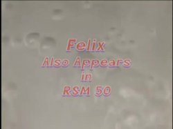 Captura de 'Real 11' nº 28