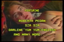 Captura de 'Big Bust Babes Vol. 3' nº 1