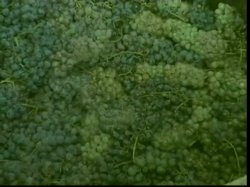 'Natural Wonders of the World Vol. 15' screenshot nº 4