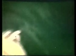 Captura de 'Peepshow Loops 193: 70's & 80's (Color)' nº 29
