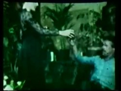 Captura de 'Peepshow Loops 193: 70's & 80's (Color)' nº 41