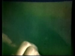 Captura de 'Peepshow Loops 193: 70's & 80's (Color)' nº 63