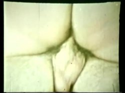 Captura de 'Peepshow Loops 193: 70's & 80's (Color)' nº 98