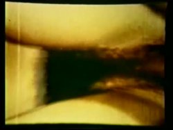 Captura de 'Peepshow Loops 193: 70's & 80's (Color)' nº 113