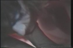 Captura de 'Teenage Christy Canyon' nº 7