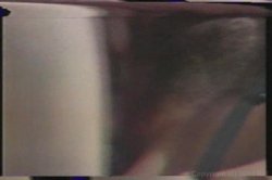 Captura de 'Teenage Christy Canyon' nº 139