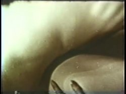 Captura de 'Peepshow Loops 228: 1970's (Color)' nº 32