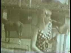 Captura de 'Peepshow Loops 228: 1970's (Color)' nº 91