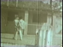 Captura de 'Peepshow Loops 228: 1970's (Color)' nº 92