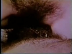 'Peepshow Loops 240 - (All Big Busty) 70's & 80's (Color)' screenshot nº 116