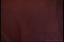 'Colossal Orgy 3' screenshot nº 59