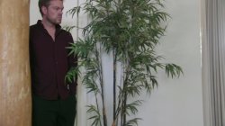 'My Sexy Little Sister 2' screenshot nº 5