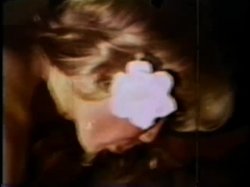 'Peepshow Loops 241 (All Diamond & All Interracial): '70s & '80s (Color)' screenshot nº 47