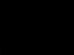 'Peepshow Loops 241 (All Diamond & All Interracial): '70s & '80s (Color)' screenshot nº 106