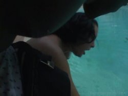 'Bust a Nut #1' screenshot nº 137