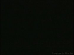 'Chasing The Big Ones 3' screenshot nº 102