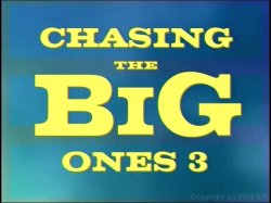 'Chasing The Big Ones 3' screenshot nº 15