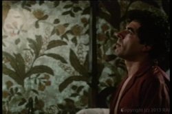 Captura de 'Ginger Lynn Screws The Stars' nº 4