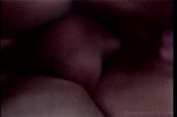 Captura de 'Ginger Lynn Screws The Stars' nº 58