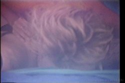 Captura de 'Ginger Lynn Screws The Stars' nº 76