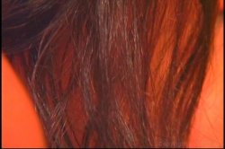Captura de 'Toy Stuffers' nº 65