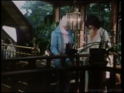 'Seka Screws The Stars' screenshot nº 3