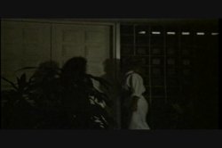 Captura de 'Amber Lynn Screws The Stars' nº 110