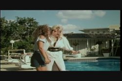 Captura de 'Amber Lynn Screws The Stars' nº 115