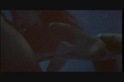 Captura de 'Amber Lynn Screws The Stars' nº 125
